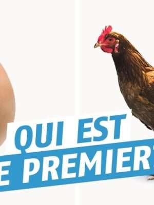La poule et l'œuf (depuis la nuit des temps)