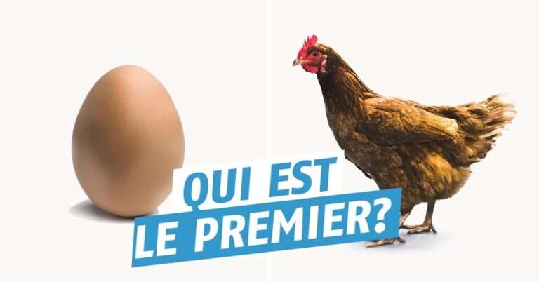 La poule et l'œuf (depuis la nuit des temps)